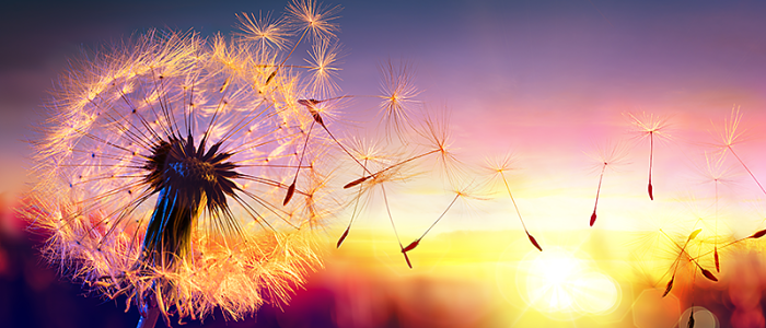 iaap-do-you-know-what-you-want